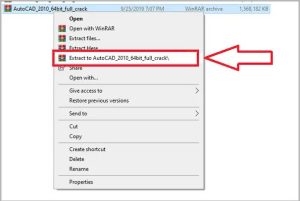 AutoCAD 2010