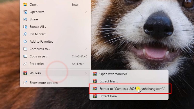 Camtasia 2025 