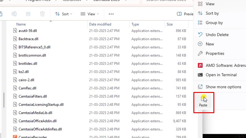 Camtasia 2025 
